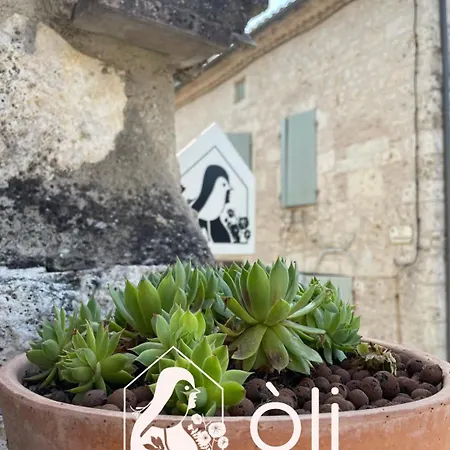 住宿加早餐酒店 Oli - D'hotes Coeur De Village A Roquecor, 2 Personnes, 75 M2 *